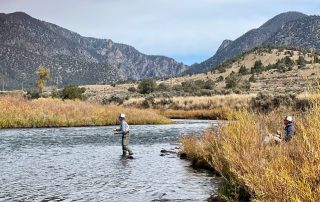 fly fishing the pumphouse section of the Colorado River